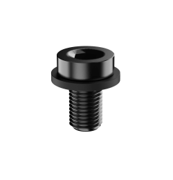 VESA Mount screws