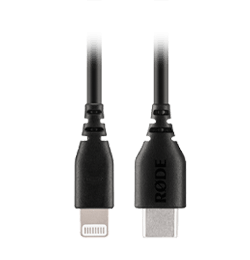 Cable Lightning USB-C de 30 cm