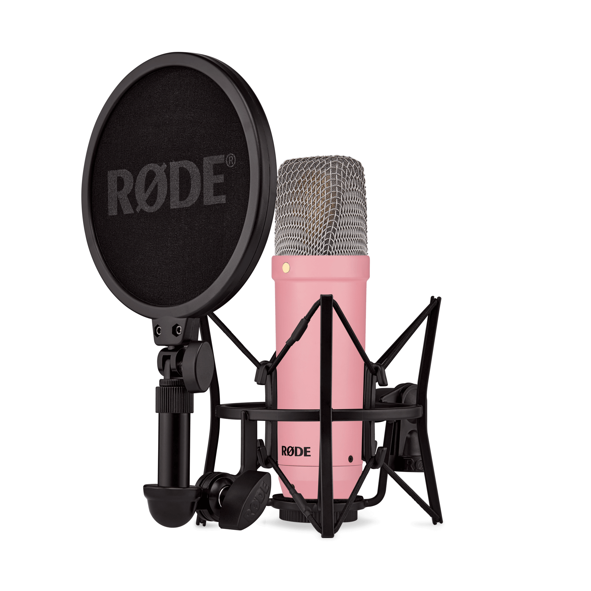 NT1 Signature Series | Studio Condenser Microphone | RØDE (JP)