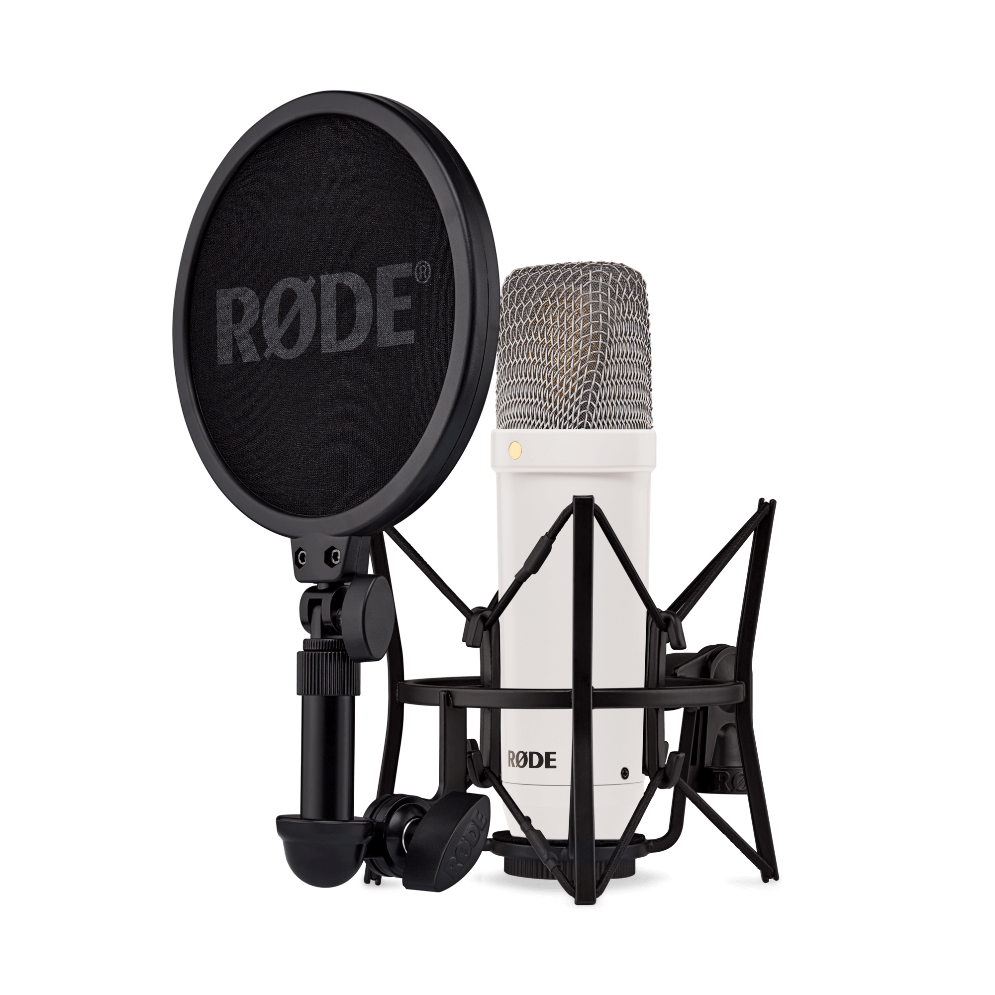 NT1 Signature Series  Color ( White ) 